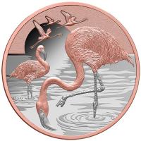 Niue - 1 NZD Flamingo 2025 - 1 Oz Silber PP Color