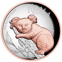 Australien - 8 AUD Koala 2025 - 5 Oz Silber HighRelief Gilded
