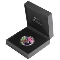 Neuseeland - 1 NZD Kiwi 2026 - 1 Oz Silber PP Color