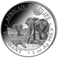 Somalia African Wildlife Elefant 2026 1 Oz Silber