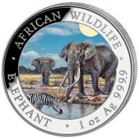 Somalia African Wildlife Elefant 2026 1 Oz Silber Color