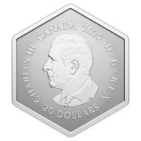 Kanada 20 CAD Schneeflocke 2025 1 Oz Silber Reverse Proof Rückseite
