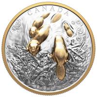 Kanada - 50 CAD Der Biber 2025 - Silber PP Ultra High Relief