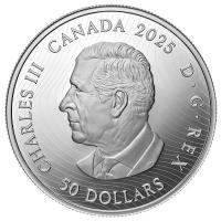Kanada 50 CAD Baffin Island Mountains 2025 5 Oz Silber PP Rückseite