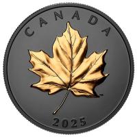 Kanada - 20 CAD Maple Leaf 2025 - 1 Oz Silber Black Rodium Gilded