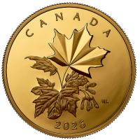 Kanada - 200 CAD Maple Leaf 2026 - 1 Oz Gold PP Ultra High Relief