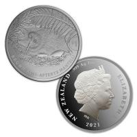 Neuseeland 1 NZD Kiwi 2021 1 Oz Silber Rückseite