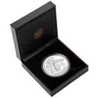 Südafrika - 10 Rand The Odyssey of the Sky: Gaukler (1.) (Bateleur) - 2 Oz Silber PP