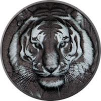 Cook Island - 5 CID Black and White - Tiger 2025 - 1 Oz Silber Color