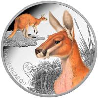 Niue - 1 NZD Rotes Känguru 2026 - 1 Oz Silber PP Color