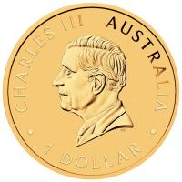 Australien - 1 AUD 35. Jubiläum Kookaburra Sydney Money Expo 2025 - 1 Oz Silber Gilded BLISTER