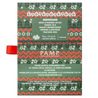 Schweiz - Fender(R) Holiday 351 Heavy Guitar Pick 2025 - 10g Silber