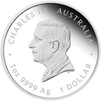 Australien 1 AUD One Love Eine Liebe 2026 1 Oz Silber PP Rückseite