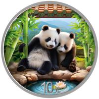 China 10 Yuan Panda 2026 30g Silber Color