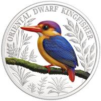 Ascension Island - 1 GBP Orientalischer Zwergfischer 2025 - 1 Oz Silber PP Color