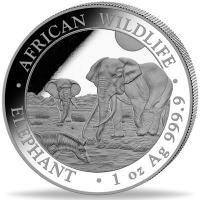 Somalia - African Wildlife Elefant 2026 - 1 Oz Silber High Relief PP