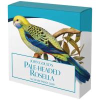 Niue - 1 NZD Blasskopfsittich (Privy Mark John Gould) 2026 - 1 Oz Silber PP Color