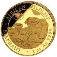Somalia - 1000 Shillings Elefant 2026 WMF Berlin - 1 Oz Gold (nur 100 Stück!!!)