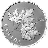 Kanada - 10 CAD Glänzender Maple Leaf (Gleaming Maple Leaves) 2026 - 1/2 Oz Silber