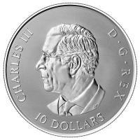 Kanada - 10 CAD Glänzender Maple Leaf (Gleaming Maple Leaves) 2026 - 1/2 Oz Silber