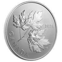 Kanada - 10 CAD Glänzender Maple Leaf (Gleaming Maple Leaves) 2026 - 1/2 Oz Silber