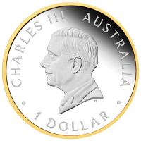 Australien 1 AUD Australian Nugget 40. Jubiläum 2026 1 Oz Silber PP Gilded Rückseite