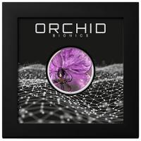 Cook Island - 5 CID Bionik Orchidee 2026 - 1 Oz Silber PP Color