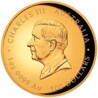 Australien 100 AUD Lunar III Pferd 2026 1 Oz Gold HighRelief (nur 188 Stück!) Rückseite