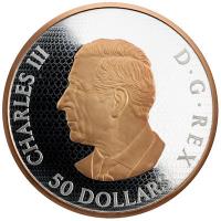 Kanada 50 CAD Maple Leaf in Motion 2026 5 Oz Silber Gilded Rückseite