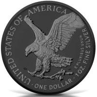 USA 1 USD Silver Eagle 2025 1 Oz Silber Black Platin und Ruthenium Rückseite