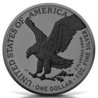 USA 1 USD Silver Eagle 2025 1 Oz Silber Ruthenium und Black Platin Rückseite