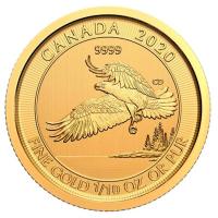 Kanada - 5 CAD Wanderfalke 2020 - 1/10 Oz Gold