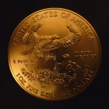 American Gold Eagle 2010 - 1 Oz Gold