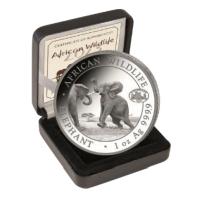 Somalia - African Wildlife Elefant 2023 - 1 Oz Silber Privy ANA