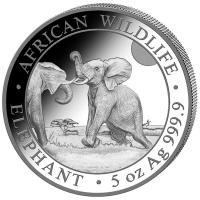 Somalia - African Wildlife Elefant 2024 - 5 Oz Silber