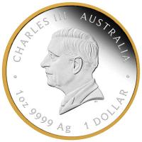 Australien 1 AUD H.M. Queen Elizabeth II. 100. Geburtstag 1 Oz Silber PP Gilded Rückseite