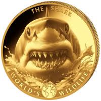 Kongo - 100 Francs Worlds Wildlife Hai 2026 - 1 Oz Gold