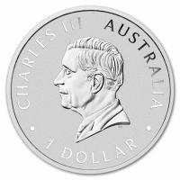 Australien 1 AUD Schwan 2026 1 Oz Silber Color Box CoA Rückseite