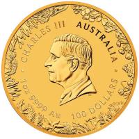 Australien 100 AUD Wunder Australiens (Wonders of Australia) 2026 1 Oz Gold Rückseite