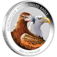 Australien - 1 AUD Wedge Tailed Eagle 2026 - 1 Oz Silber Color BLISTER