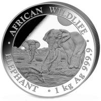 Somalia - African Wildlife Elefant 2026 - 1 KG Silber
