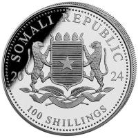 Somalia African Wildlife Leopard 2024 1 Oz Silber Rückseite