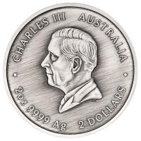 Australien 2 AUD Schildkröte (Turtle) Yaunati 2026 2 Oz Silber Antik Finish Color Rückseite