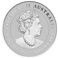 Australien 50 AUD White-Bellied Sea Eagle 2022 1/2 Oz Platin Rückseite