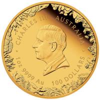 Australien - 100 AUD Wunder Australiens (Wonders of Australia) 2026 - 1 Oz Gold PP