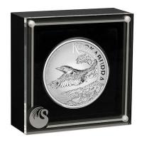 Australien - 8 AUD Kookaburra 2026 - 5 Oz Silber Proof Incused