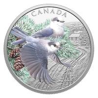 Kanada - 20 CAD Farbenfrohe Vögel: Kanadahäher 2026 - 1 Oz Silber PP Color