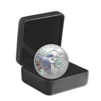 Kanada - 20 CAD Farbenfrohe Vögel: Kanadahäher 2026 - 1 Oz Silber PP Color