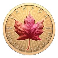 Kanada - 200 CAD Maple Leaf 2026 - 1 Oz Gold Ultra High Relief Color