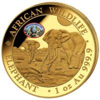 Somalia - African Wildlife Elefant 2026 - 1 Oz Gold Privy ANA Pittsburgh